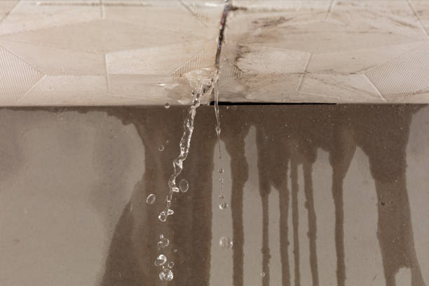 Professional Burst Pipe Cleanup technician working in Edmore, MI